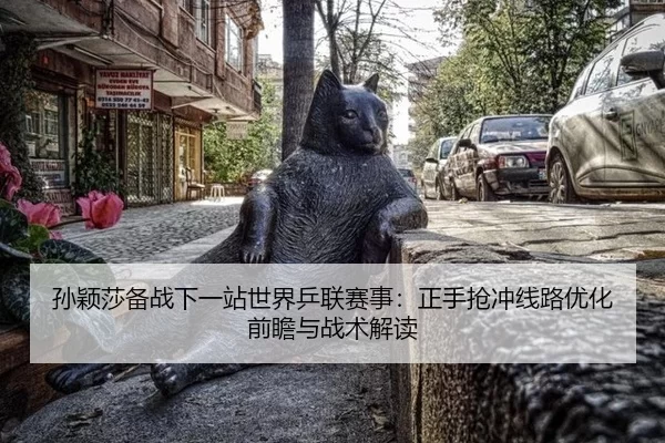 孙颖莎备战下一站世界乒联赛事：正手抢冲线路优化前瞻与战术解读