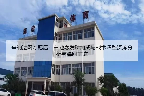 辛纳法网夺冠后：草地赛发球加成与战术调整深度分析与温网前瞻