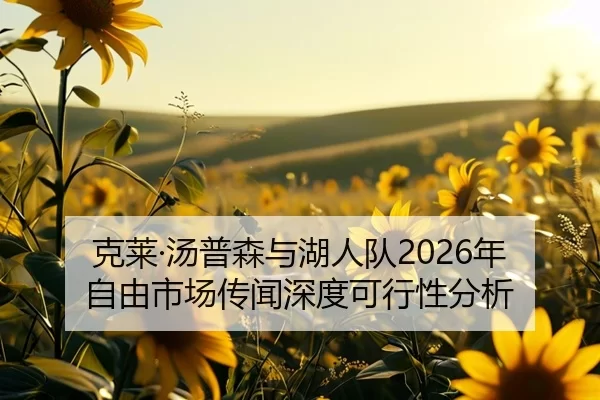 克莱·汤普森与湖人队2026年自由市场传闻深度可行性分析