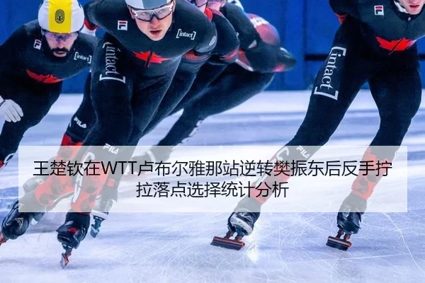 王楚钦在WTT卢布尔雅那站逆转樊振东后反手拧拉落点选择统计分析